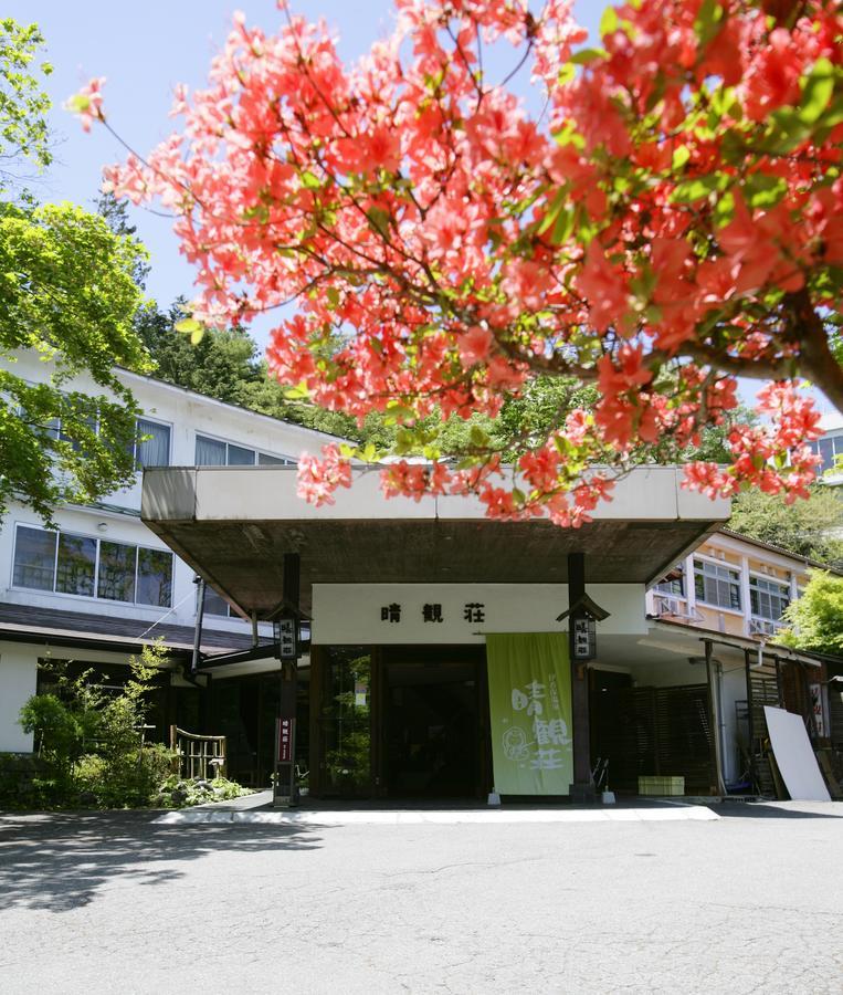 Ichikawa Bekkan Seikanso Hotel Shibukawa Exterior photo