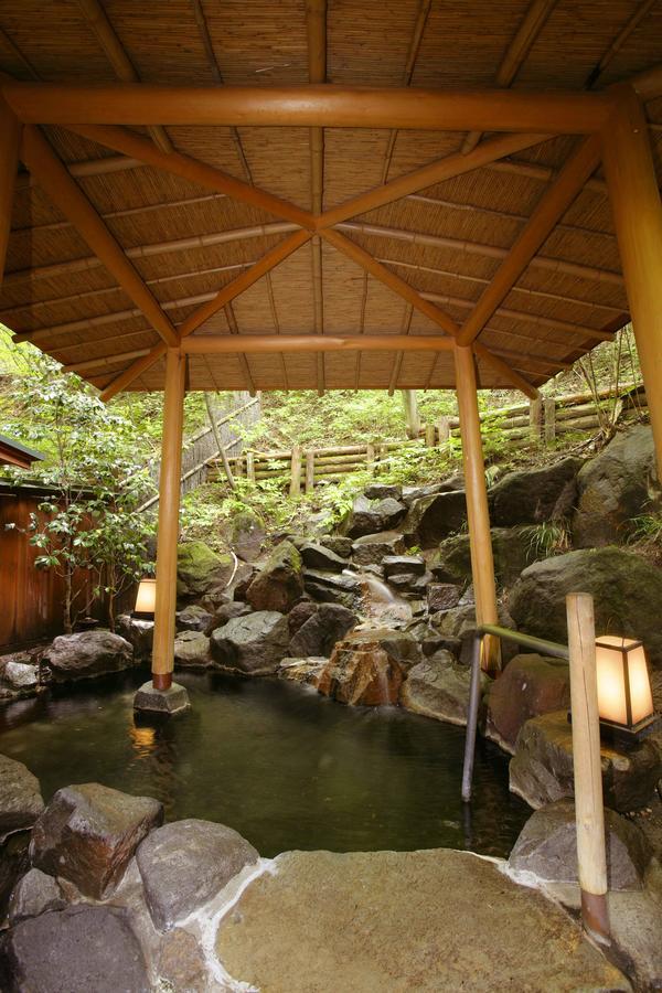 Ichikawa Bekkan Seikanso Hotel Shibukawa Exterior photo